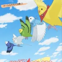 Постер аниме Разноцветные попугаи